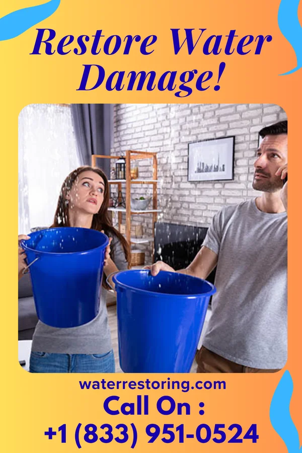 water restoration Best Restoration Pros Buckeystown